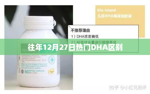 DHA区别解析，历年12月27日热点解读