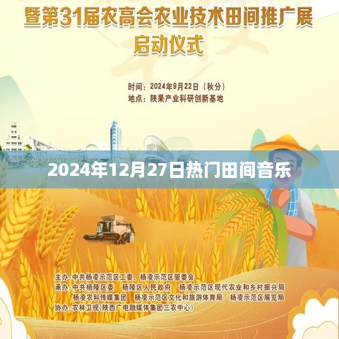 2024年田间音乐盛宴，聆听最热流行之声