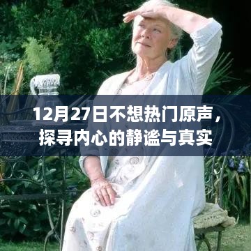 探寻内心静谧与真实的秘密，12月27日的真实之声