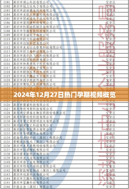 2025年1月4日 第5页