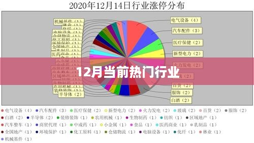 最新热门行业动态解析，聚焦十二月行业热点