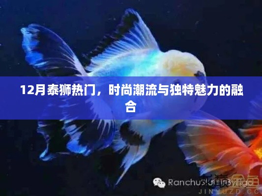 时尚魅力泰狮风潮来袭，潮流与独特魅力的完美融合