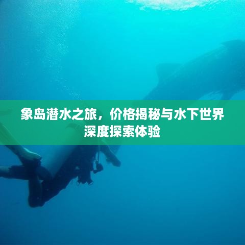 象岛潜水之旅，价格揭秘与水下世界深度探索体验