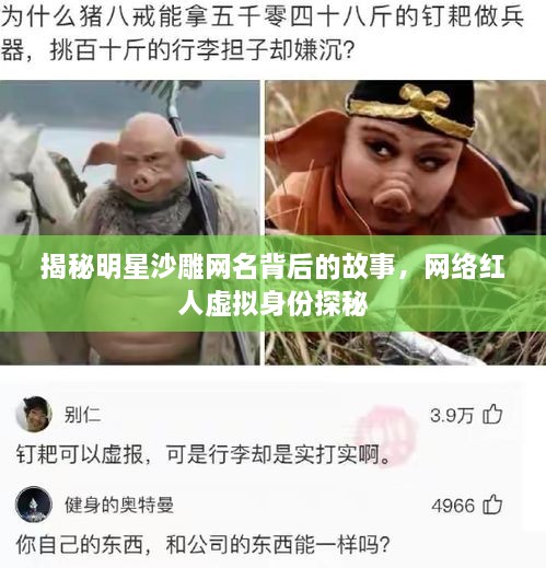 揭秘明星沙雕网名背后的故事，网络红人虚拟身份探秘