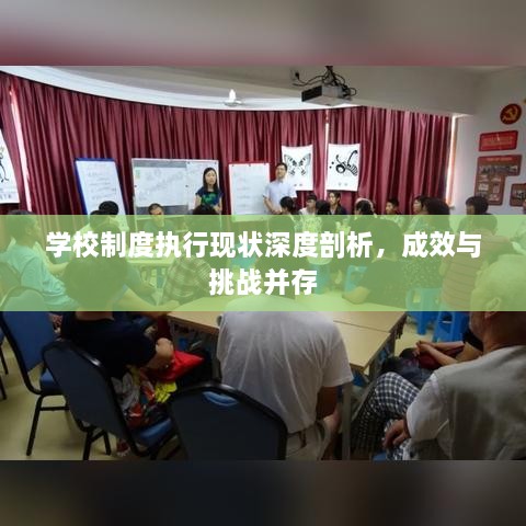 学校制度执行现状深度剖析，成效与挑战并存