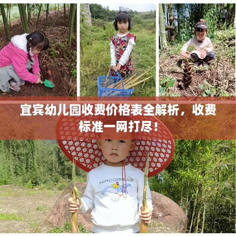 宜宾幼儿园收费价格表全解析，收费标准一网打尽！