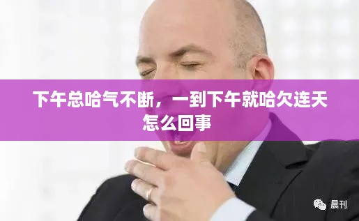 下午总哈气不断，一到下午就哈欠连天怎么回事 