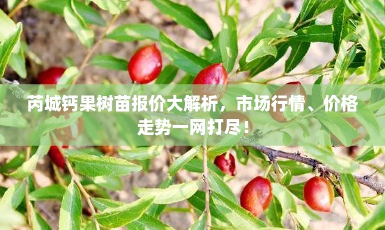 芮城钙果树苗报价大解析，市场行情、价格走势一网打尽！