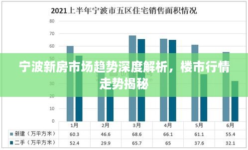 宁波新房市场趋势深度解析，楼市行情走势揭秘