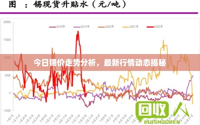 今日锡价走势分析，最新行情动态揭秘