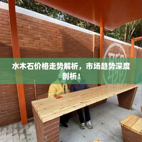 水木石价格走势解析，市场趋势深度剖析！