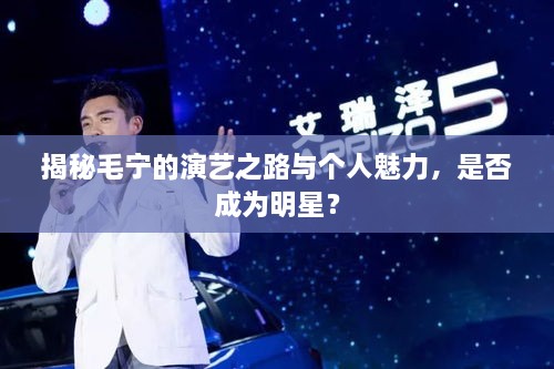 揭秘毛宁的演艺之路与个人魅力，是否成为明星？