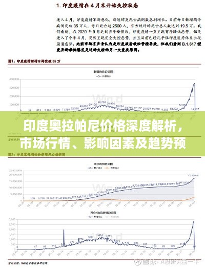 印度奥拉帕尼价格深度解析，市场行情、影响因素及趋势预测