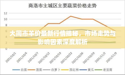 大同市羊价最新行情揭秘，市场走势与影响因素深度解析