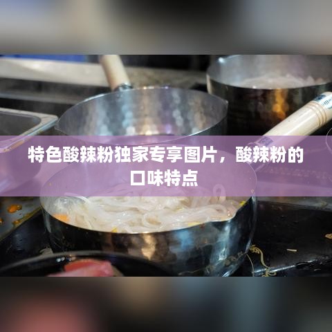 特色酸辣粉独家专享图片，酸辣粉的口味特点 