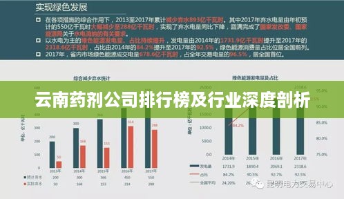 云南药剂公司排行榜及行业深度剖析