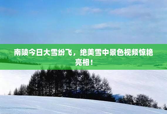 南陵今日大雪纷飞，绝美雪中景色视频惊艳亮相！