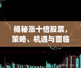 揭秘涨十倍股票，策略、机遇与面临的挑战