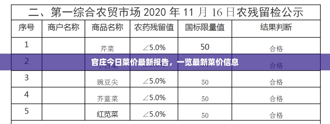 官庄今日菜价最新报告，一览最新菜价信息