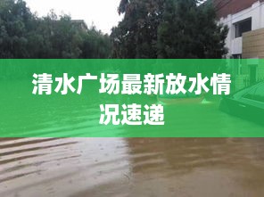 清水广场最新放水情况速递