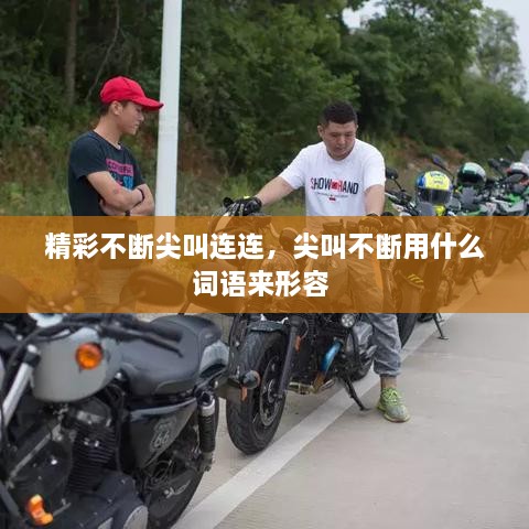 精彩不断尖叫连连，尖叫不断用什么词语来形容 