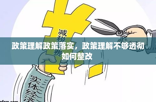 政策理解政策落实，政策理解不够透彻如何整改 