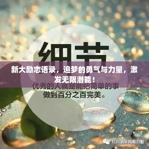 新大励志语录，追梦的勇气与力量，激发无限潜能！