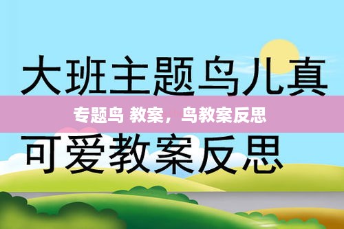 专题鸟 教案，鸟教案反思 