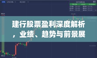 建行股票盈利深度解析，业绩、趋势与前景展望