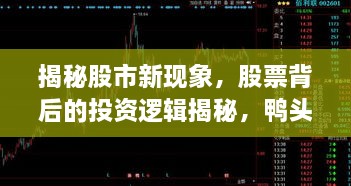 揭秘股市新现象，股票背后的投资逻辑揭秘，鸭头背后的市场趋势分析