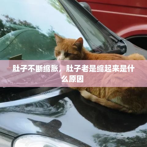 肚子不断缩胀，肚子老是缩起来是什么原因 