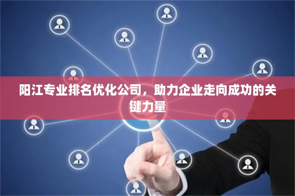 阳江专业排名优化公司，助力企业走向成功的关键力量