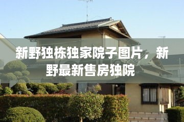 新野独栋独家院子图片，新野最新售房独院 