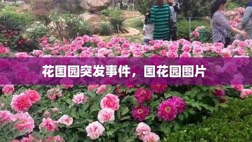 花国园突发事件，国花园图片 