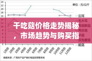 干吃菇价格走势揭秘，市场趋势与购买指南一网打尽！