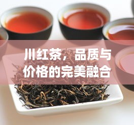 川红茶，品质与价格的完美融合，让您心动不已！