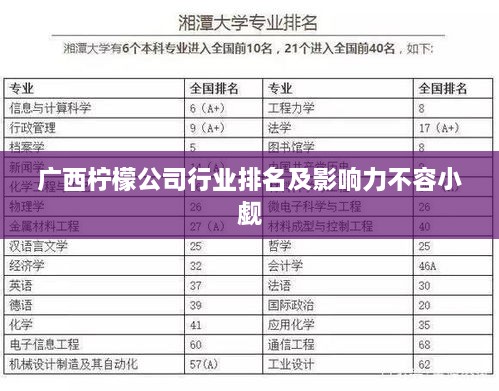 广西柠檬公司行业排名及影响力不容小觑