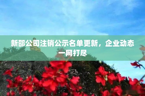 新邵公司注销公示名单更新，企业动态一网打尽