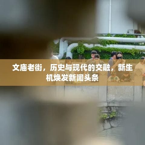 文庙老街，历史与现代的交融，新生机焕发新闻头条