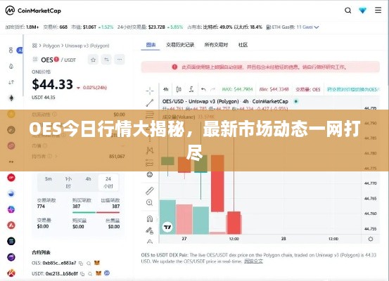 OES今日行情大揭秘，最新市场动态一网打尽