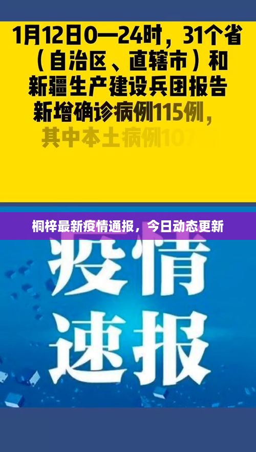 桐梓最新疫情通报，今日动态更新