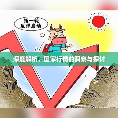 深度解析，国家行情的洞察与探讨