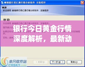 银行今日黄金行情深度解析，最新动态一网打尽