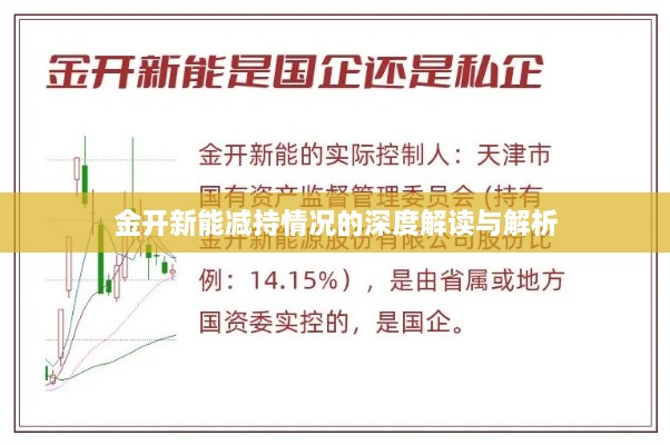 金开新能减持情况的深度解读与解析