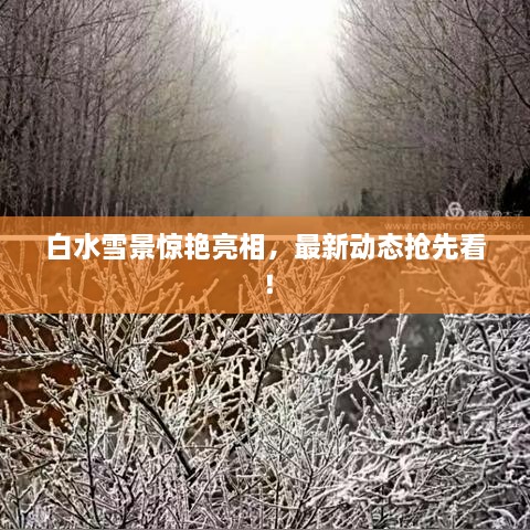 白水雪景惊艳亮相，最新动态抢先看！