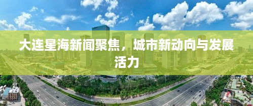 大连星海新闻聚焦，城市新动向与发展活力