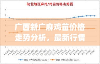 广西新广麻鸡苗价格走势分析，最新行情报告！