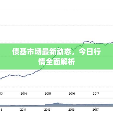 债基市场最新动态，今日行情全面解析