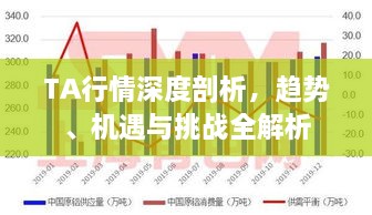 TA行情深度剖析，趋势、机遇与挑战全解析