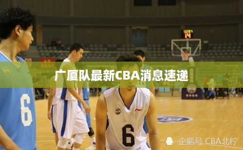 广厦队最新CBA消息速递